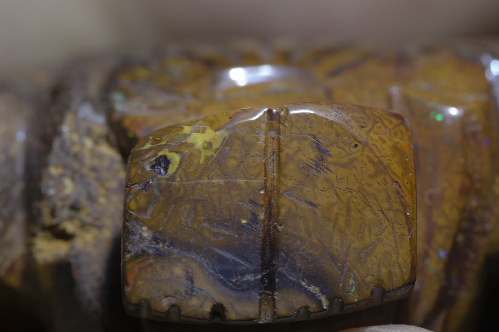 Polished Queensland boulder opal slabs — dark ironstone matrix with Koroit-pattern color running through in ochre, brown, and flashes of green.