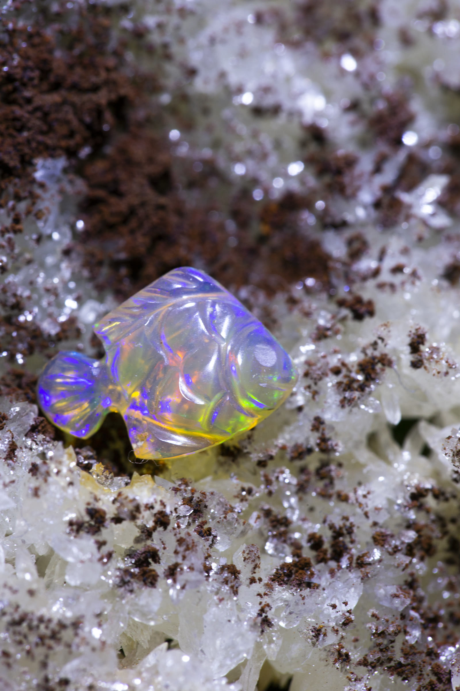 A carved Ethiopian crystal opal fish on white quartz and garnet matrix — the whole translucent body glows with blue and violet play-of-color.