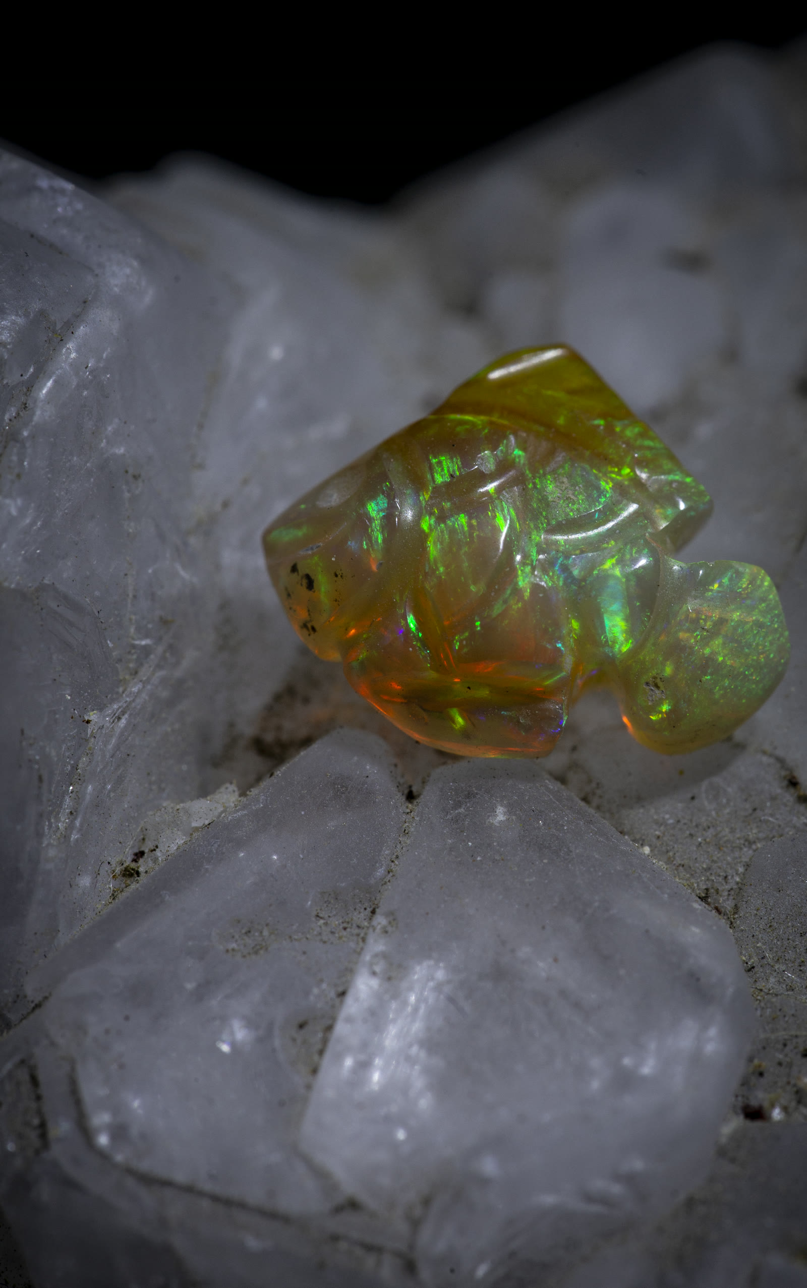 A carved Ethiopian crystal opal turtle resting on white quartz chunks — green and orange fire runs through the body.