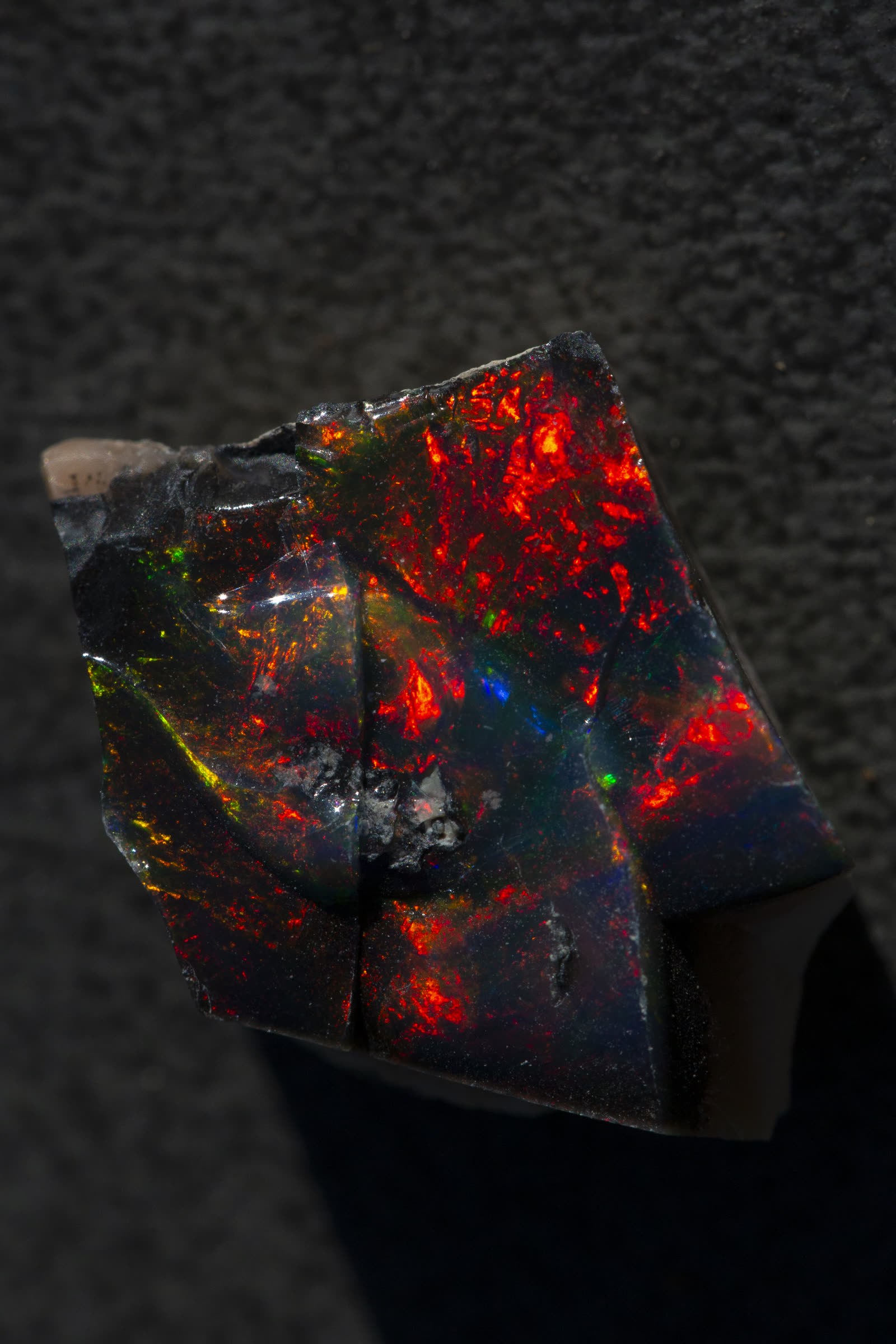 Rough Ethiopian black seam opal showing intense red and orange play-of-color on a very dark, near-black body.