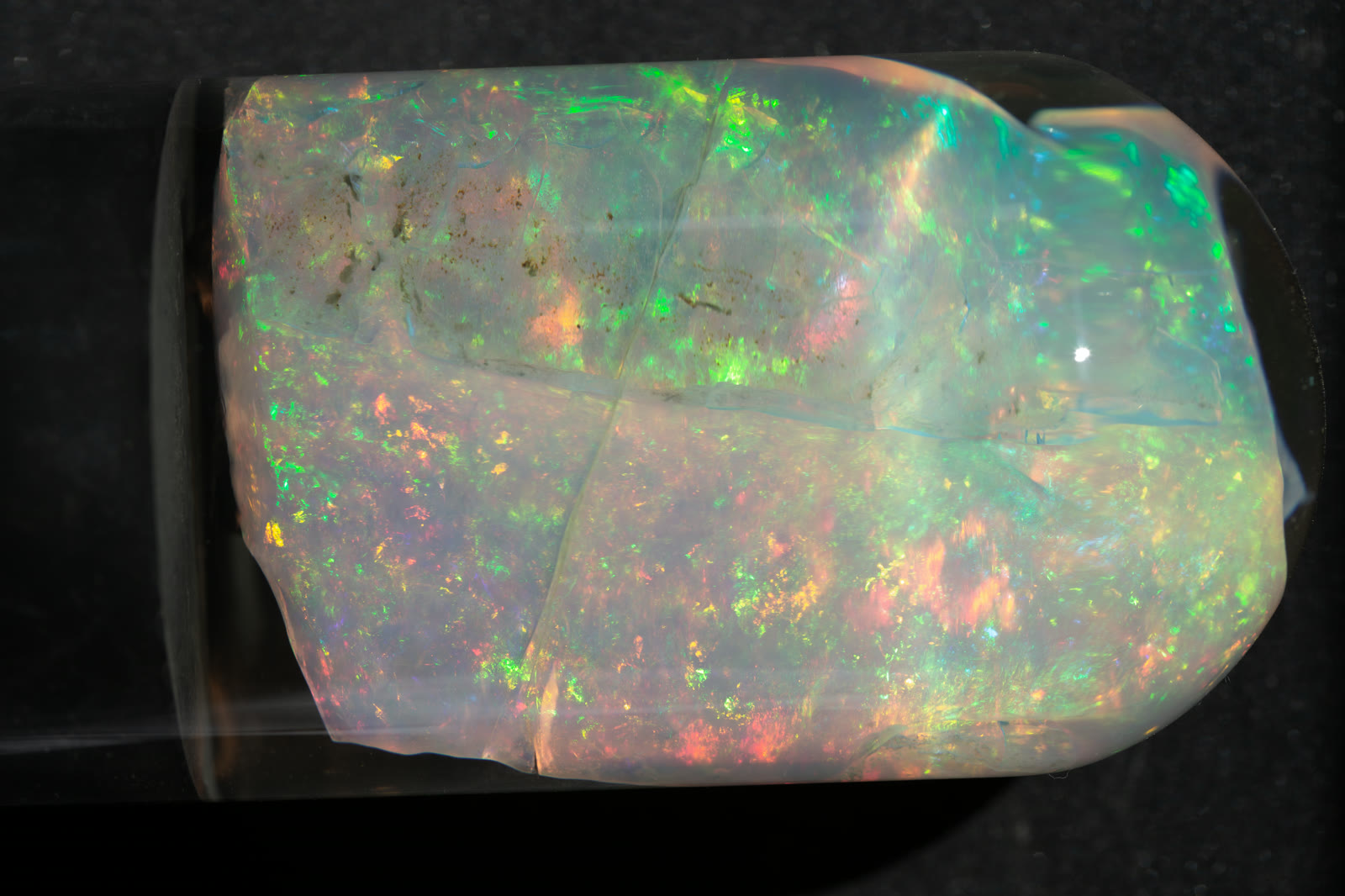Top view of the Virgin Valley opal in its water dome — massive green, orange, and red fire spreading across the entire face.