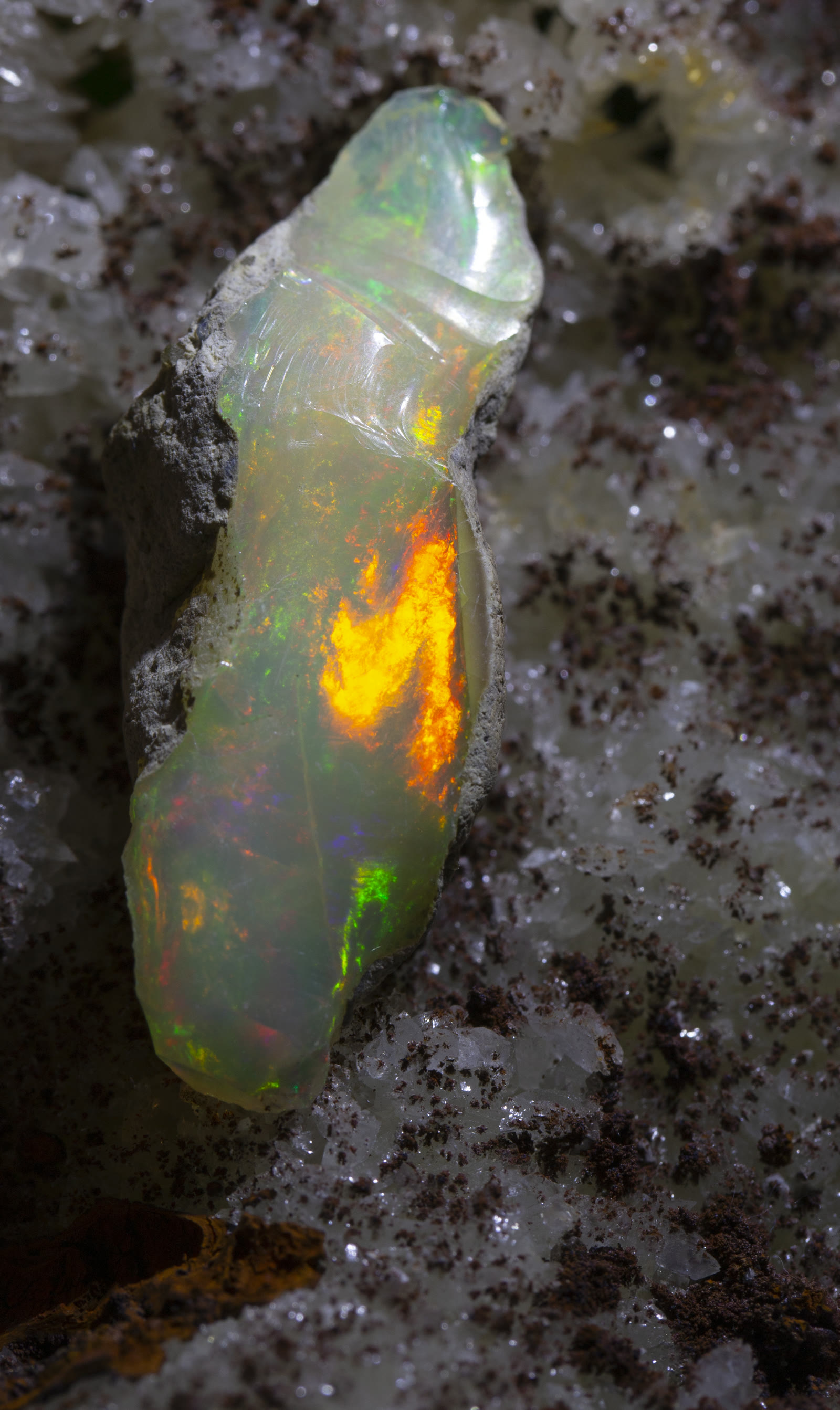 Raw Ethiopian Welo opal rough showing intense orange and red fire against a dark background — vivid warm play-of-color in an uncut stone.