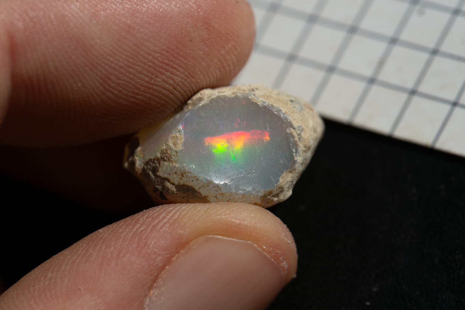 Rough Ethiopian Welo opal held in a hand, green and blue fire visible through the translucent body.