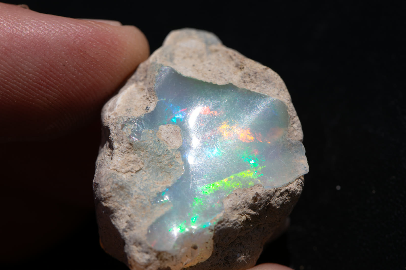 A 59.20-carat piece of rough Ethiopian Welo opal held in fingers — matrix band visible at the base, teal and green flash showing across the main face.