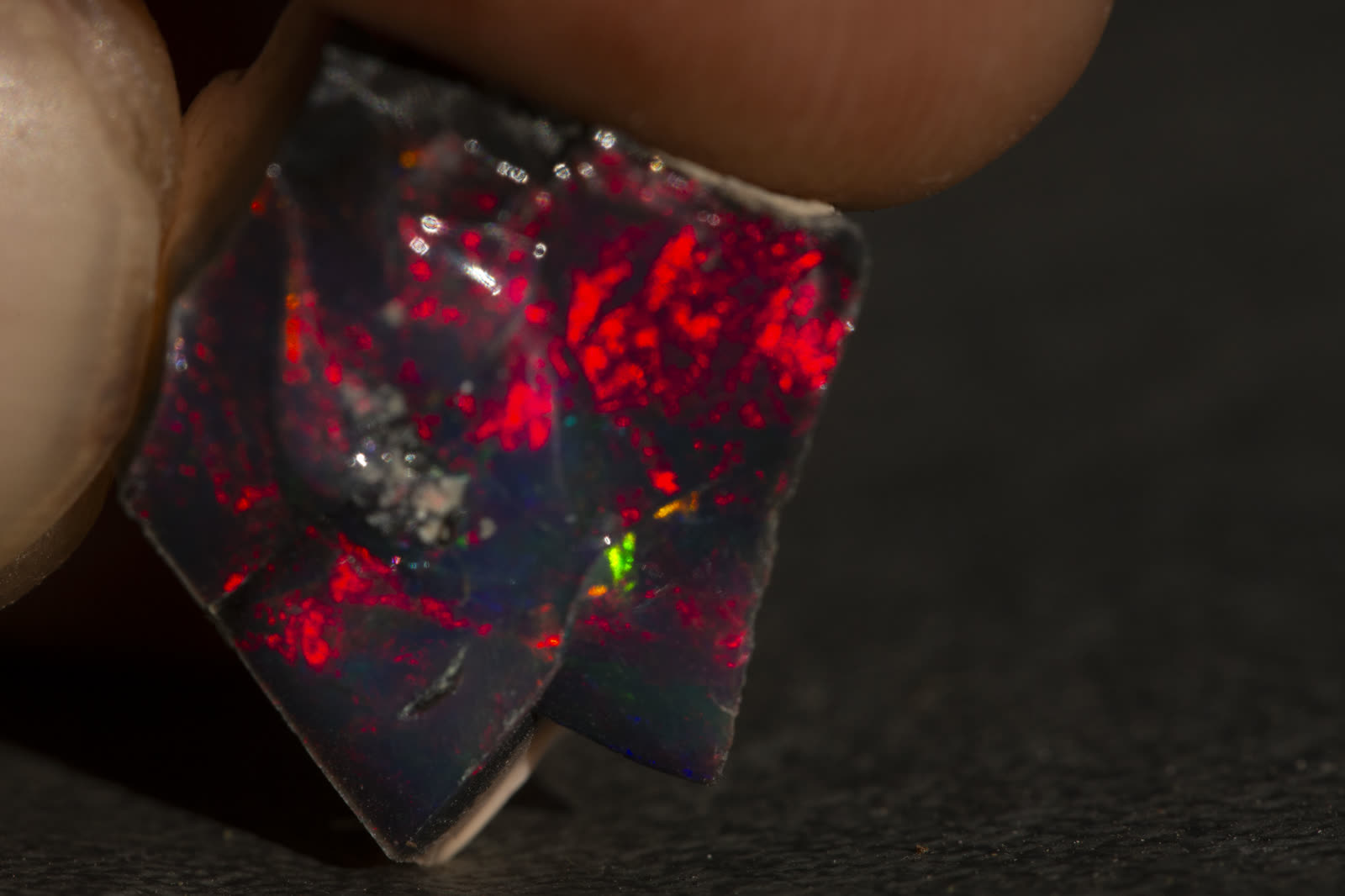 Dark opal rough held between fingers — the handling that wears stones comes from rings, not from being held.