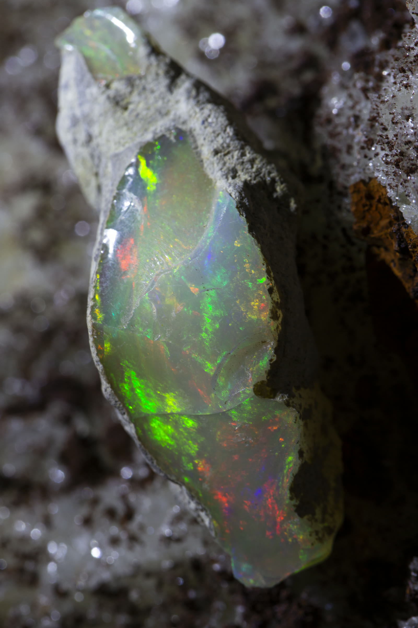 A slab of rough Ethiopian Welo opal with the color bar exposed on the cut face — this becomes a solid cab or nothing.