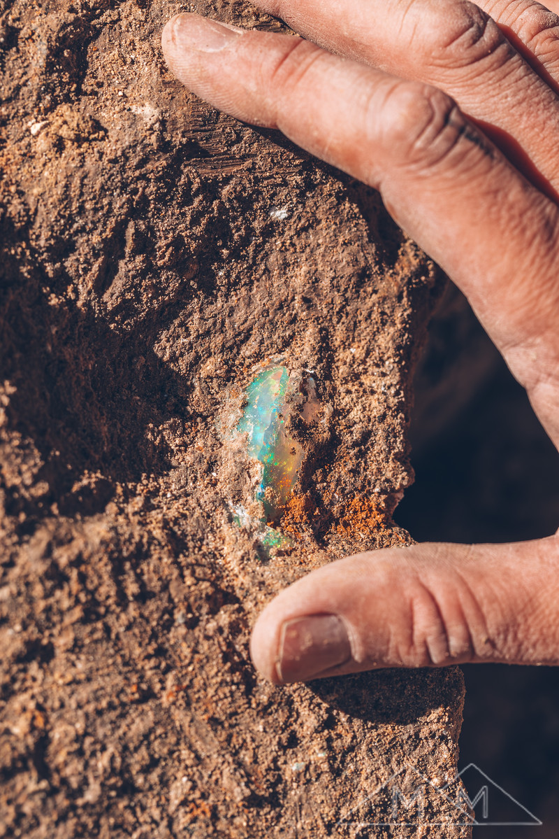A hand bracing a chunk of tan matrix with a seam of green and orange opal still embedded in the dirt.