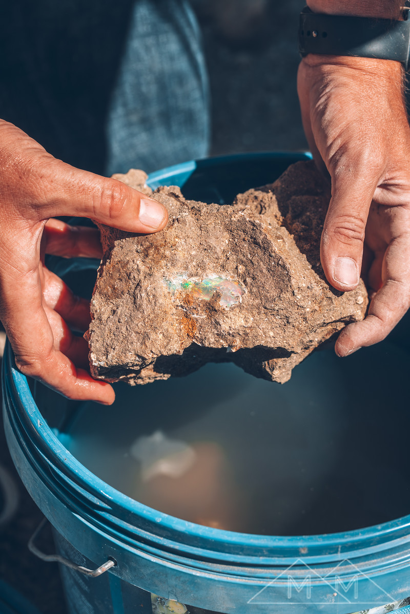 Two hands holding a dirt-crusted rock with a window of opal showing, over a blue bucket of wash water.