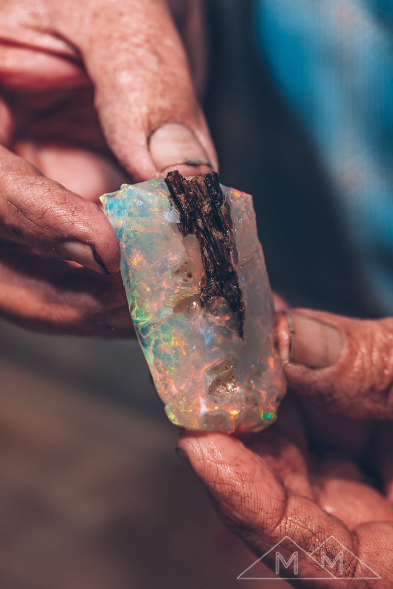 Fingers holding a rectangular crystal opal with a dark piece of petrified wood still attached to one face.