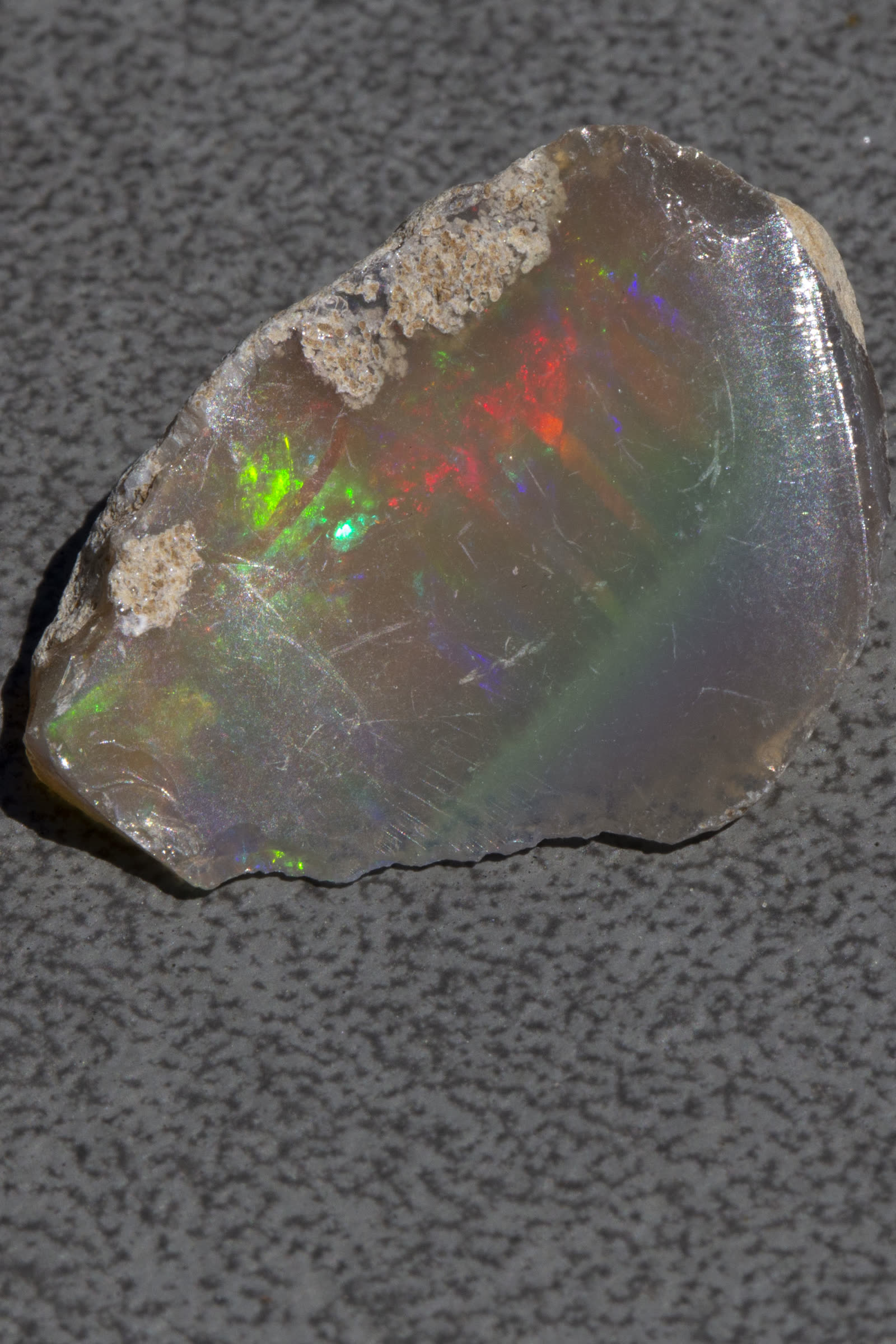 Large rough Ethiopian Welo crystal opal with a gray body, red, green, and blue play-of-color running across the polished face.